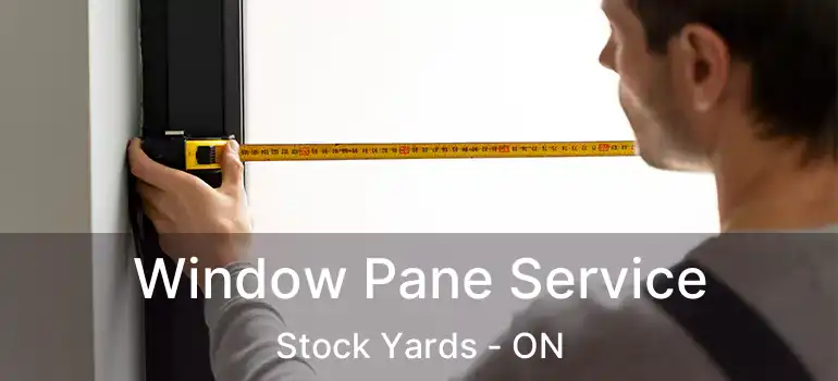  Window Pane Service Stock Yards - ON