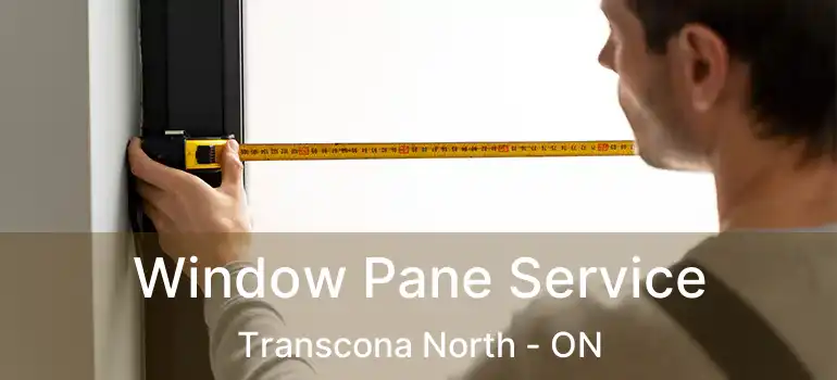  Window Pane Service Transcona North - ON