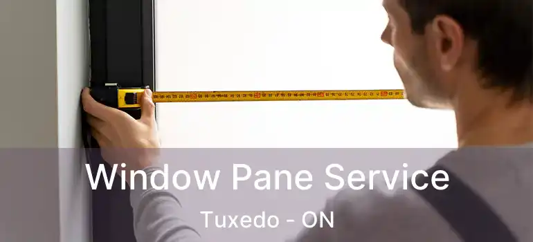  Window Pane Service Tuxedo - ON