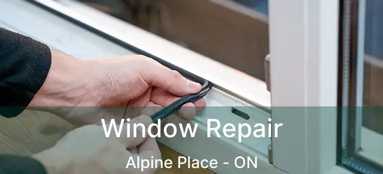  Window Repair Alpine Place - ON