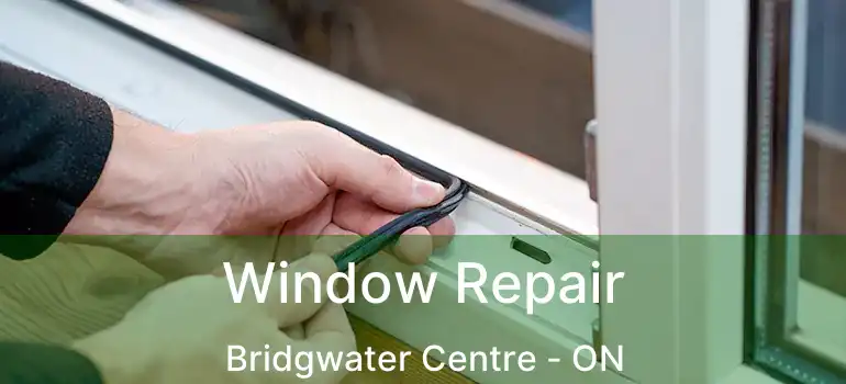  Window Repair Bridgwater Centre - ON