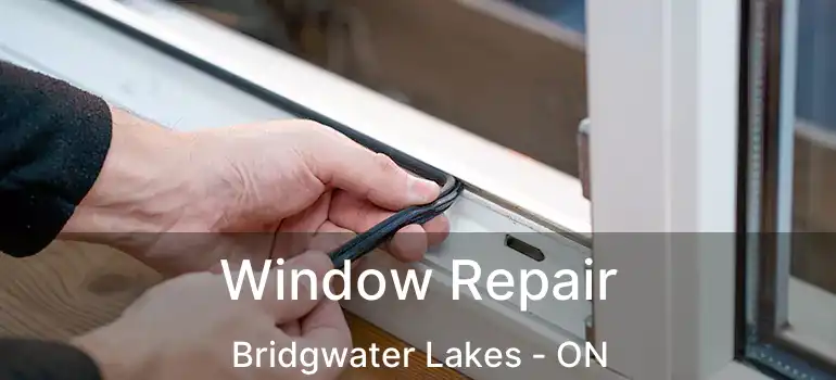  Window Repair Bridgwater Lakes - ON