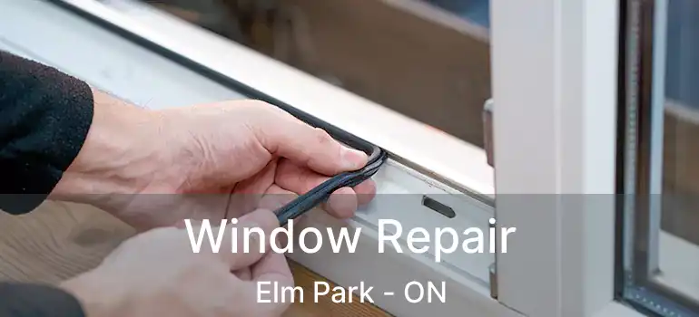  Window Repair Elm Park - ON