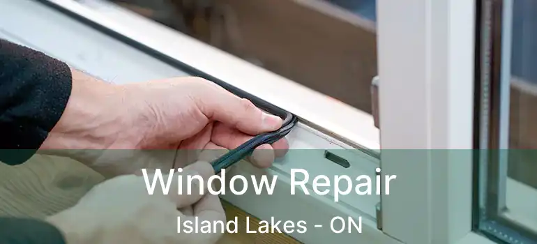  Window Repair Island Lakes - ON