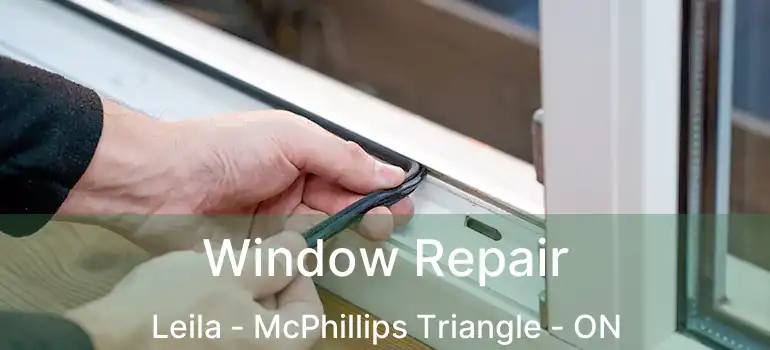 Window Repair Leila - McPhillips Triangle - ON