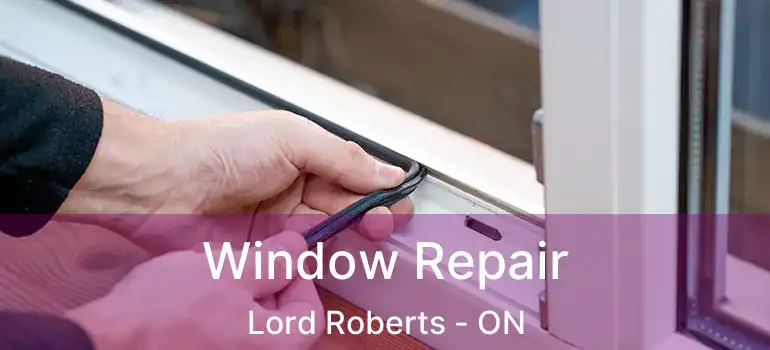  Window Repair Lord Roberts - ON