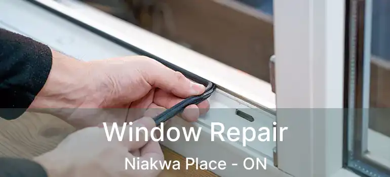  Window Repair Niakwa Place - ON