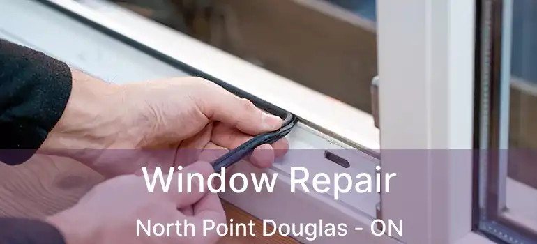  Window Repair North Point Douglas - ON