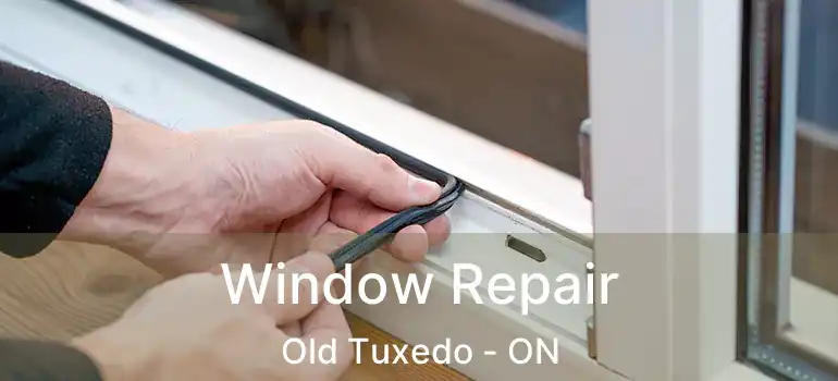  Window Repair Old Tuxedo - ON