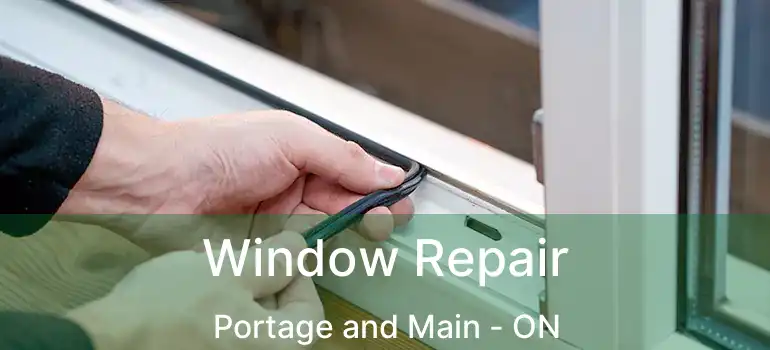  Window Repair Portage and Main - ON