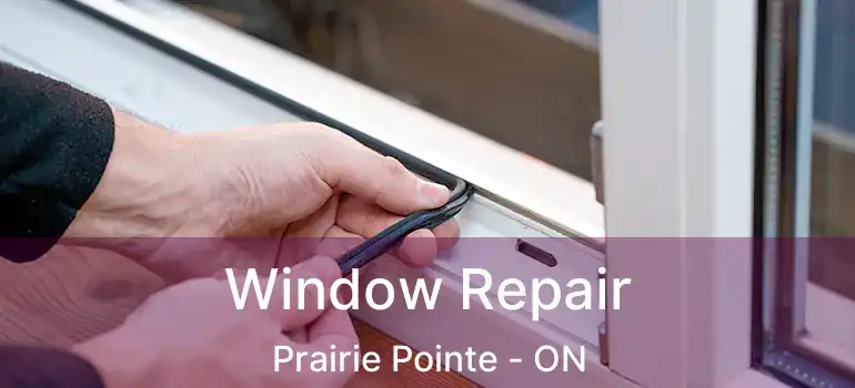  Window Repair Prairie Pointe - ON