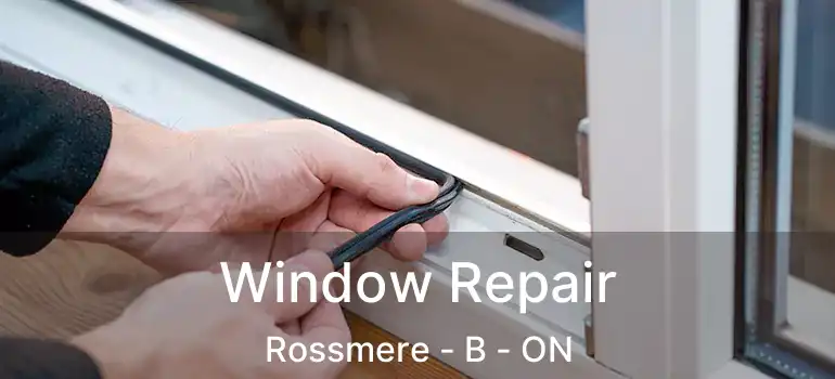  Window Repair Rossmere - B - ON