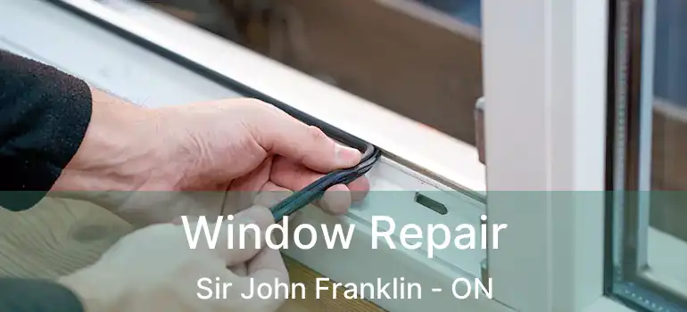  Window Repair Sir John Franklin - ON