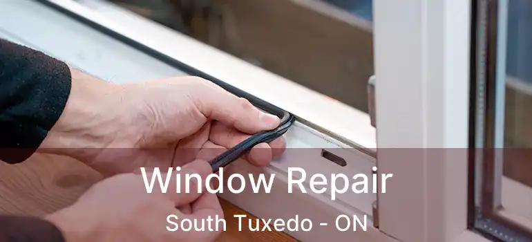  Window Repair South Tuxedo - ON