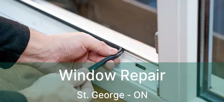  Window Repair St. George - ON