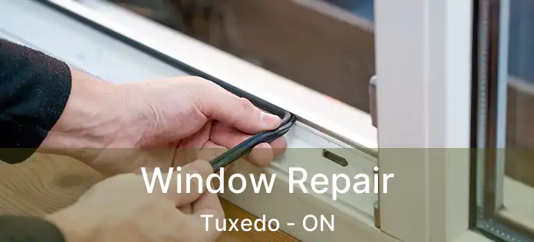  Window Repair Tuxedo - ON