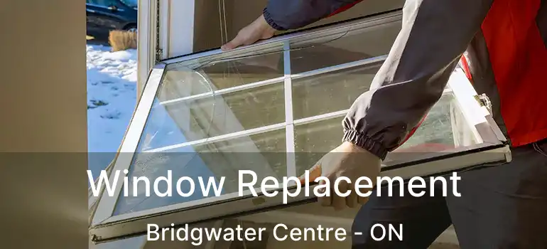  Window Replacement Bridgwater Centre - ON