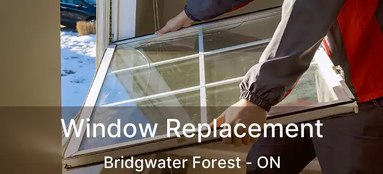  Window Replacement Bridgwater Forest - ON