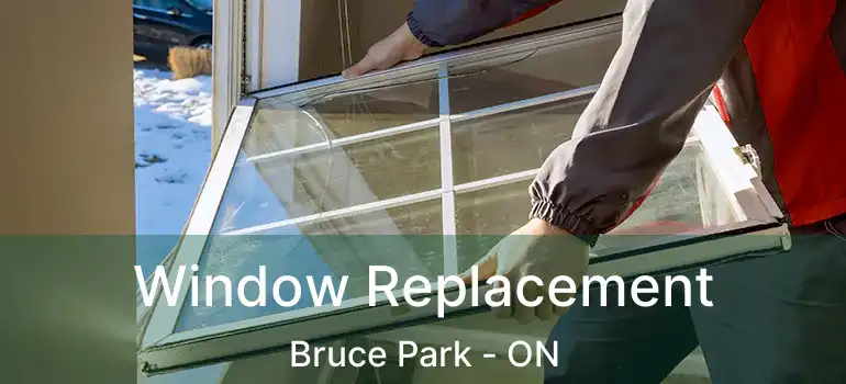  Window Replacement Bruce Park - ON