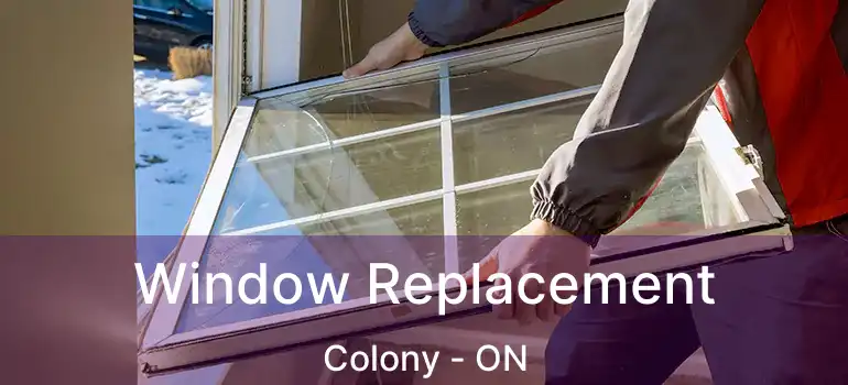  Window Replacement Colony - ON
