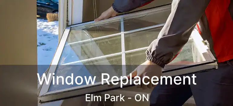  Window Replacement Elm Park - ON