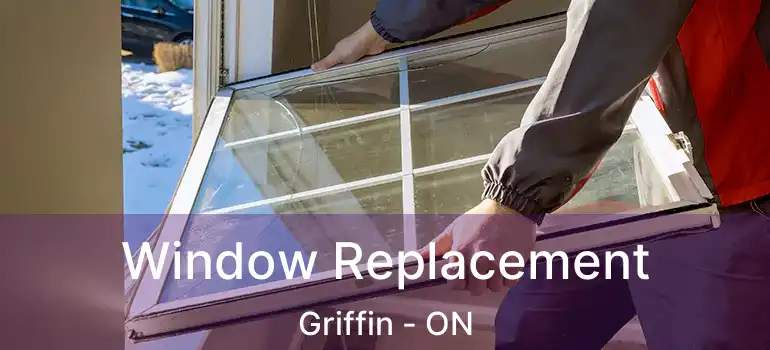  Window Replacement Griffin - ON