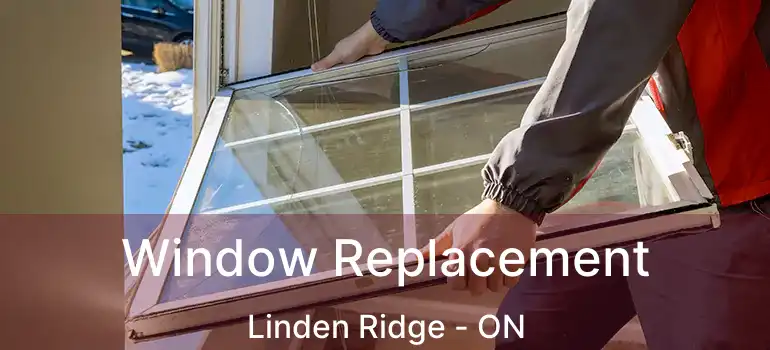  Window Replacement Linden Ridge - ON