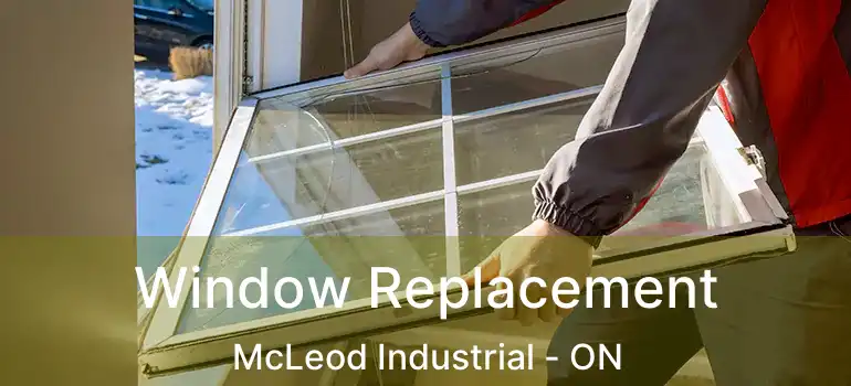  Window Replacement McLeod Industrial - ON