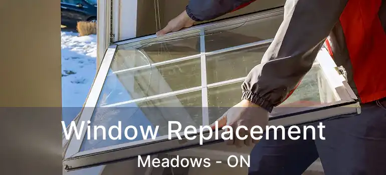  Window Replacement Meadows - ON