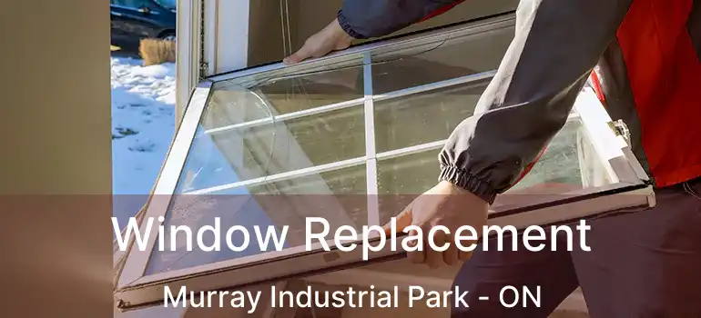 Window Replacement Murray Industrial Park - ON