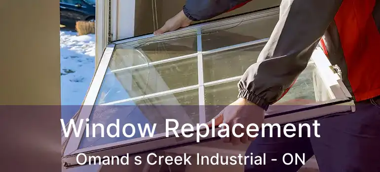  Window Replacement Omand s Creek Industrial - ON