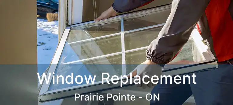 Window Replacement Prairie Pointe - ON