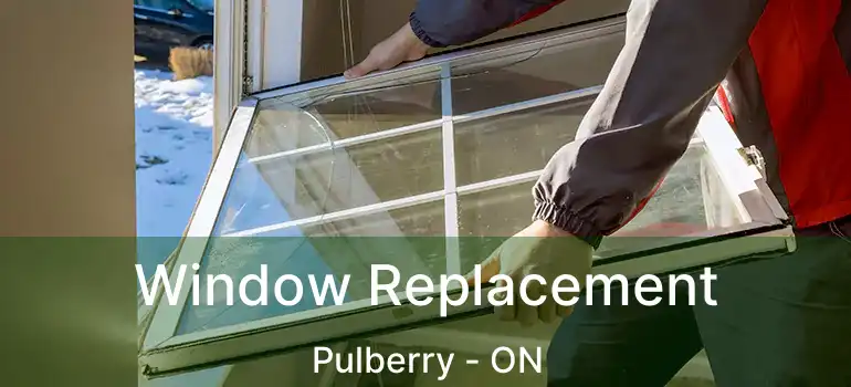  Window Replacement Pulberry - ON