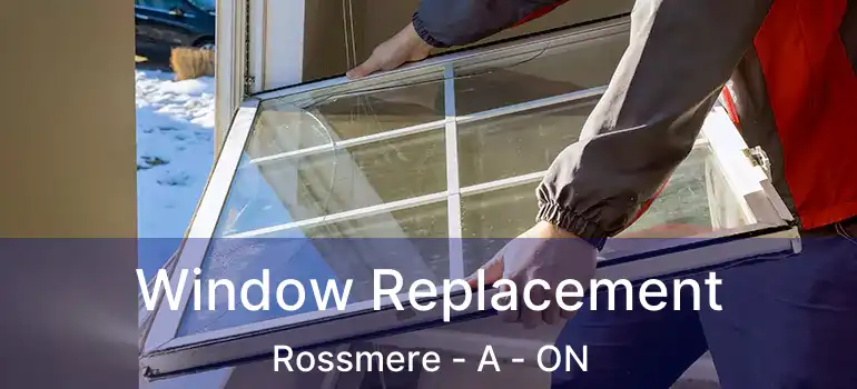  Window Replacement Rossmere - A - ON