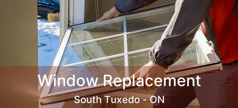  Window Replacement South Tuxedo - ON