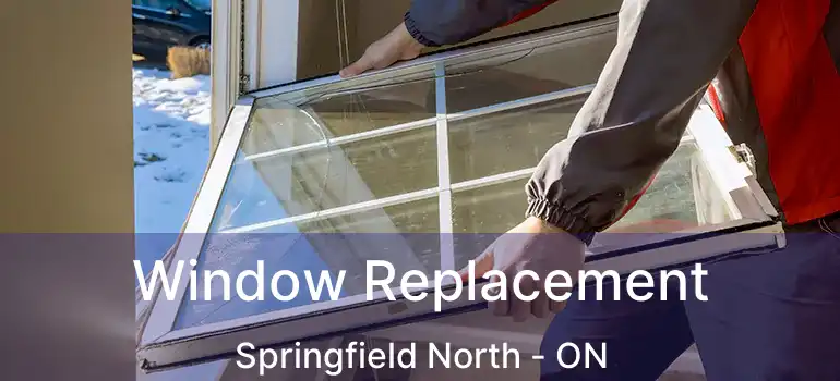  Window Replacement Springfield North - ON