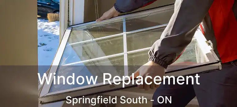  Window Replacement Springfield South - ON