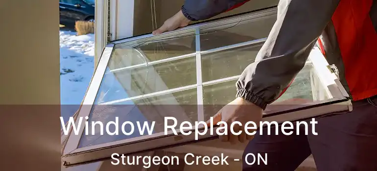  Window Replacement Sturgeon Creek - ON
