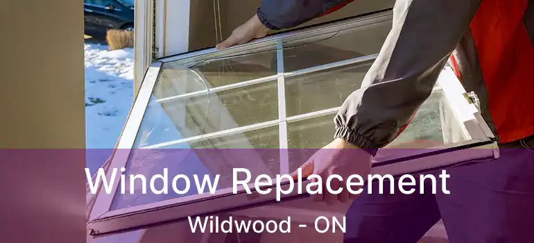  Window Replacement Wildwood - ON