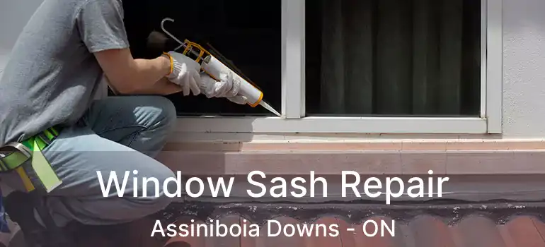  Window Sash Repair Assiniboia Downs - ON