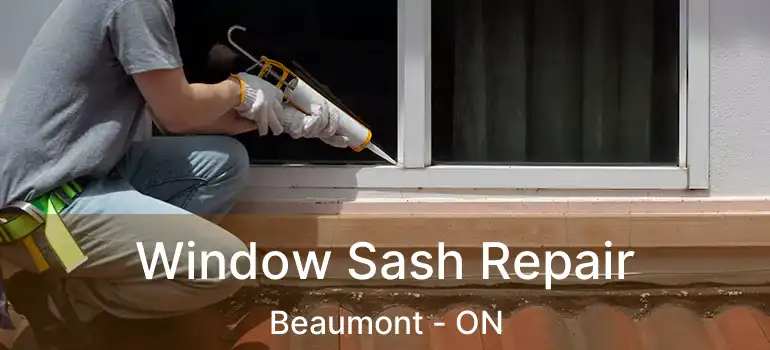  Window Sash Repair Beaumont - ON