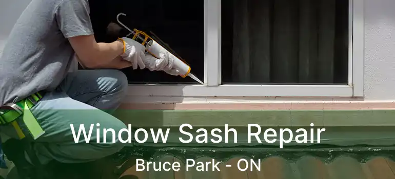  Window Sash Repair Bruce Park - ON
