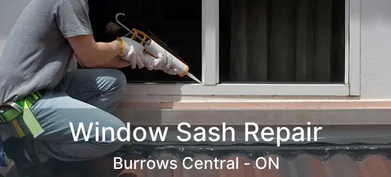  Window Sash Repair Burrows Central - ON