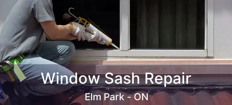  Window Sash Repair Elm Park - ON