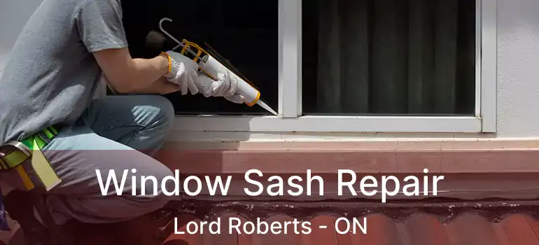 Window Sash Repair Lord Roberts - ON
