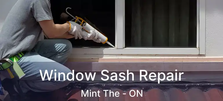  Window Sash Repair Mint The - ON