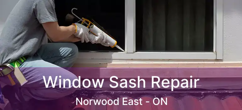  Window Sash Repair Norwood East - ON
