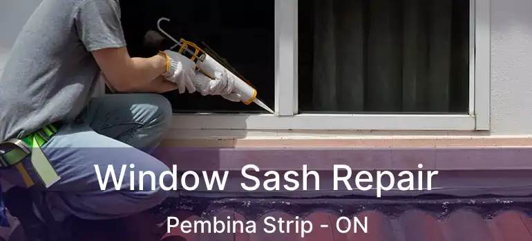  Window Sash Repair Pembina Strip - ON