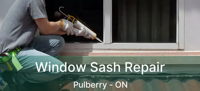  Window Sash Repair Pulberry - ON