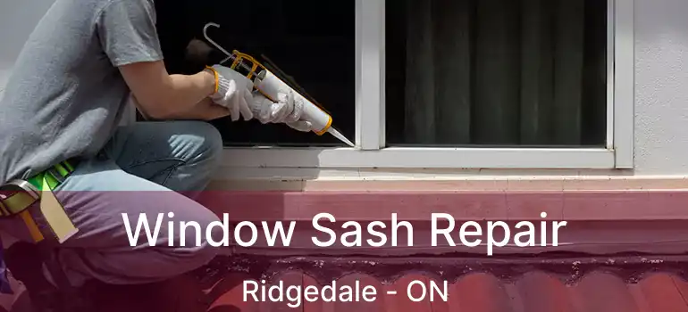  Window Sash Repair Ridgedale - ON